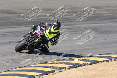 media/Feb-04-2024-SoCal Trackdays (Sun) [[91d6515b1d]]/4-Bowl Backside (11am)/